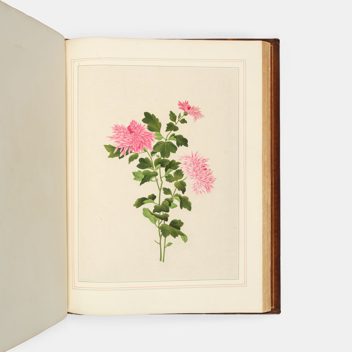A sumptuous collection of 244 mounted watercolours depicting Chinese silkworm cultivation, birds, Asian fruits and flowers, exlibris Duke of Marlborough.