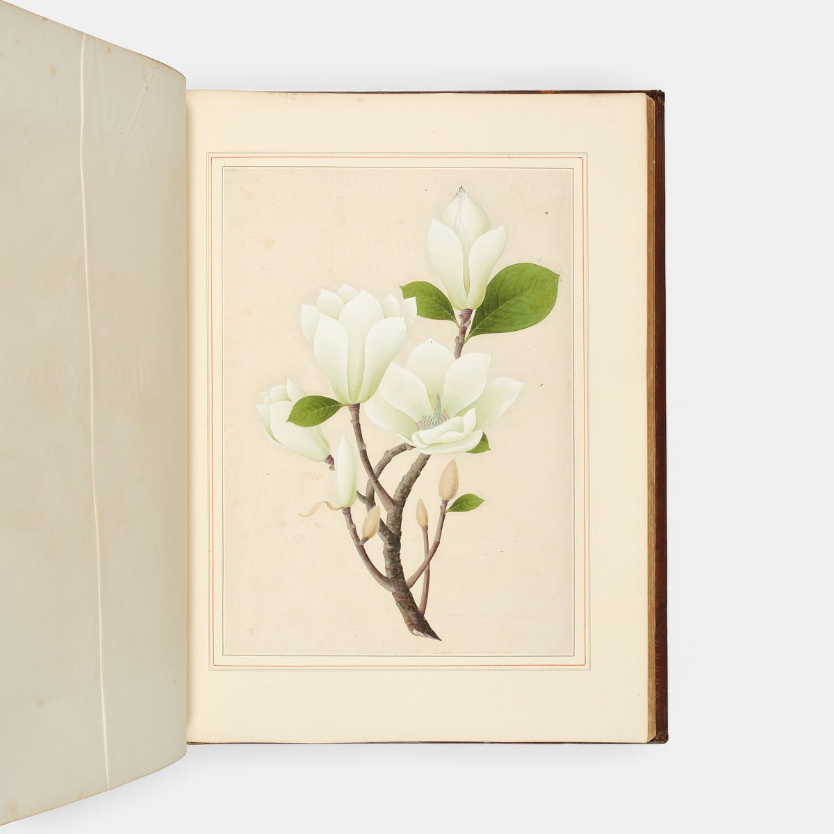 A sumptuous collection of 244 mounted watercolours depicting Chinese silkworm cultivation, birds, Asian fruits and flowers, exlibris Duke of Marlborough.