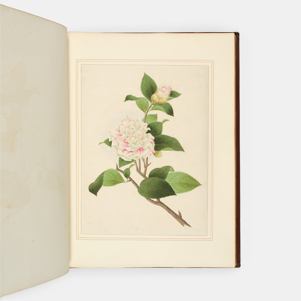 A sumptuous collection of 244 mounted watercolours depicting Chinese silkworm cultivation, birds, Asian fruits and flowers, exlibris Duke of Marlborough.