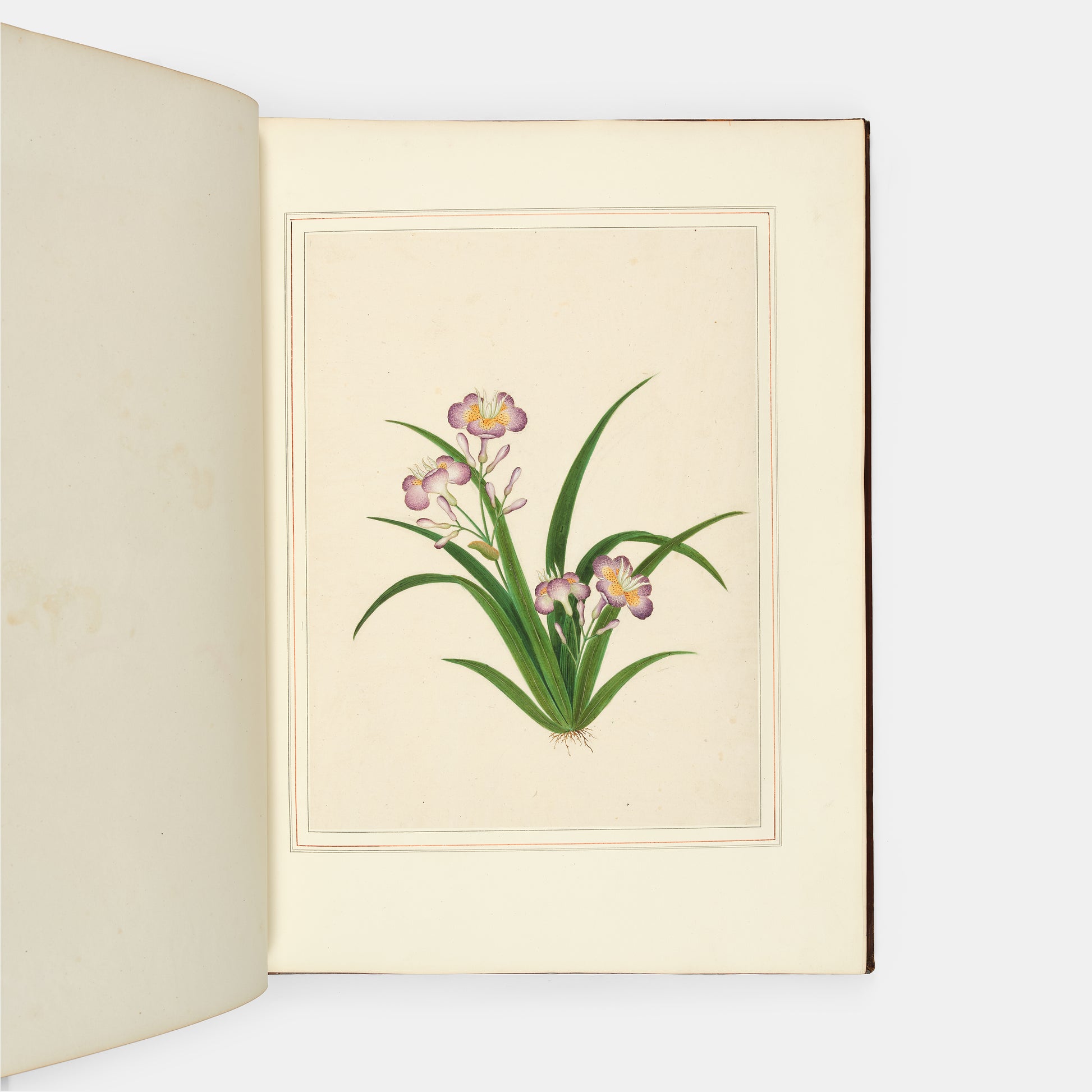 A sumptuous collection of 244 mounted watercolours depicting Chinese silkworm cultivation, birds, Asian fruits and flowers, exlibris Duke of Marlborough.