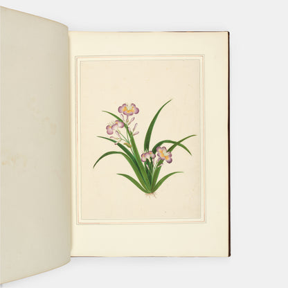 A sumptuous collection of 244 mounted watercolours depicting Chinese silkworm cultivation, birds, Asian fruits and flowers, exlibris Duke of Marlborough.