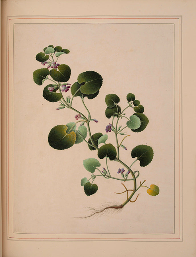 A sumptuous collection of 244 mounted watercolours depicting Chinese silkworm cultivation, birds, Asian fruits and flowers, exlibris Duke of Marlborough.