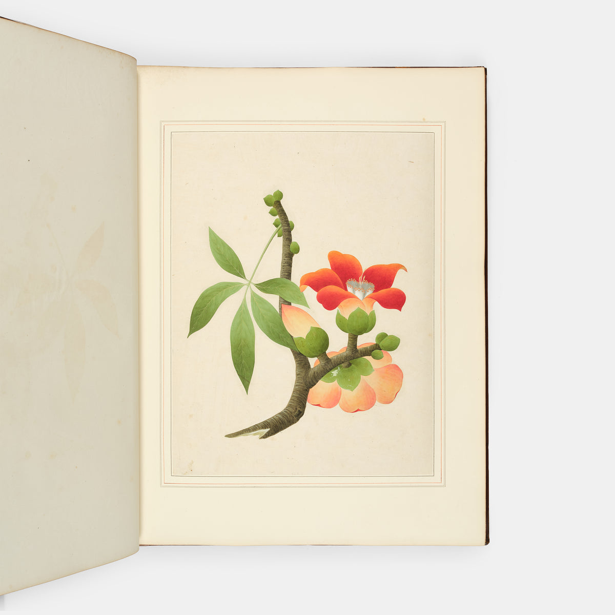 A sumptuous collection of 244 mounted watercolours depicting Chinese silkworm cultivation, birds, Asian fruits and flowers, exlibris Duke of Marlborough.