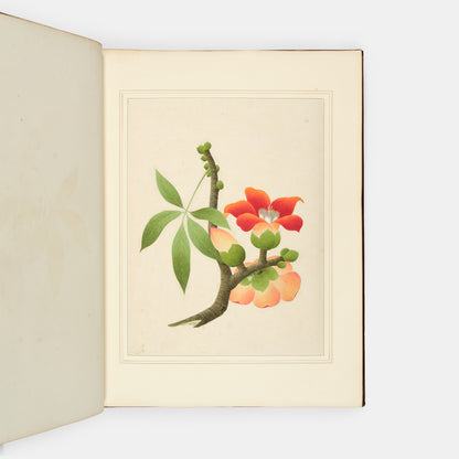 A sumptuous collection of 244 mounted watercolours depicting Chinese silkworm cultivation, birds, Asian fruits and flowers, exlibris Duke of Marlborough.
