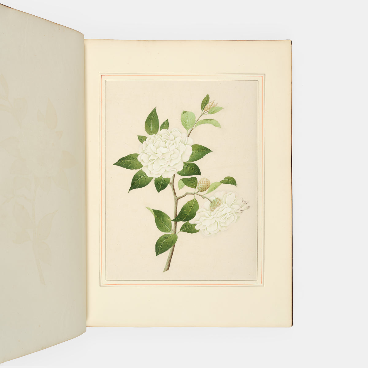 A sumptuous collection of 244 mounted watercolours depicting Chinese silkworm cultivation, birds, Asian fruits and flowers, exlibris Duke of Marlborough.
