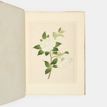 A sumptuous collection of 244 mounted watercolours depicting Chinese silkworm cultivation, birds, Asian fruits and flowers, exlibris Duke of Marlborough.