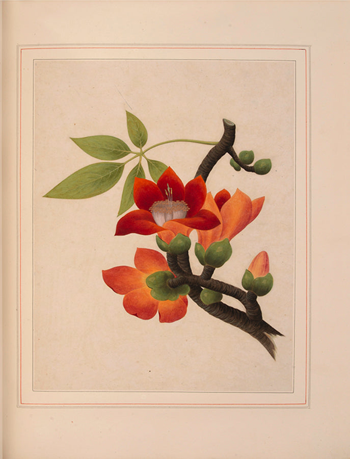 A sumptuous collection of 244 mounted watercolours depicting Chinese silkworm cultivation, birds, Asian fruits and flowers, exlibris Duke of Marlborough.