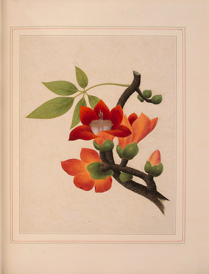 A sumptuous collection of 244 mounted watercolours depicting Chinese silkworm cultivation, birds, Asian fruits and flowers, exlibris Duke of Marlborough.