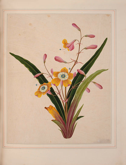 A sumptuous collection of 244 mounted watercolours depicting Chinese silkworm cultivation, birds, Asian fruits and flowers, exlibris Duke of Marlborough.