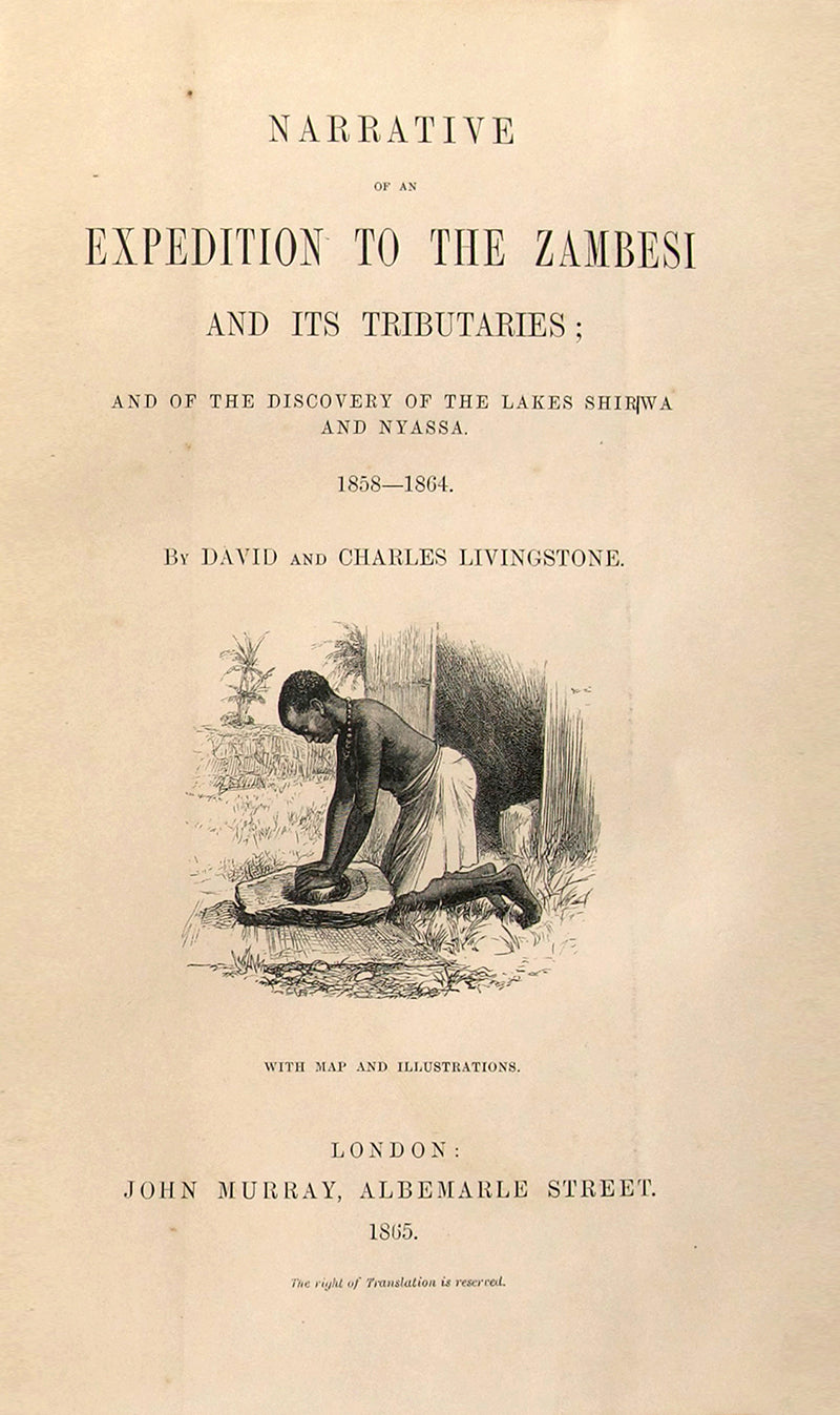 An expedition to expose the Portuguese slave traders and to find a way to establish a settlement for missions and commerce near the head of the Rovuma. 