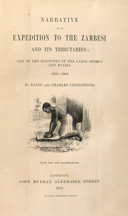 An expedition to expose the Portuguese slave traders and to find a way to establish a settlement for missions and commerce near the head of the Rovuma. 