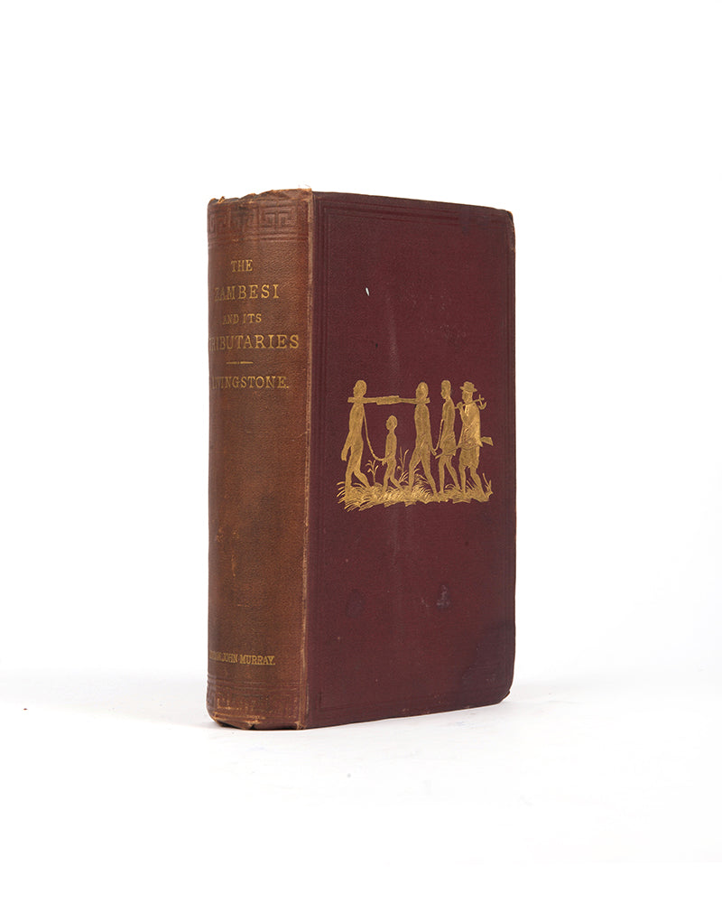 An expedition to expose the Portuguese slave traders and to find a way to establish a settlement for missions and commerce near the head of the Rovuma. 