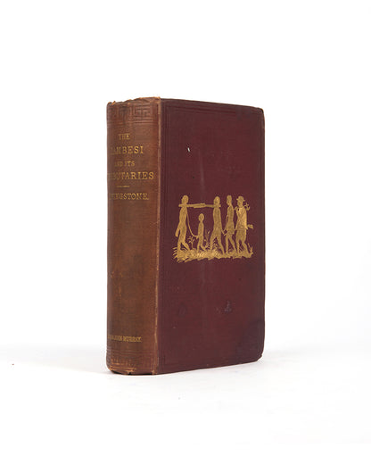 An expedition to expose the Portuguese slave traders and to find a way to establish a settlement for missions and commerce near the head of the Rovuma. 