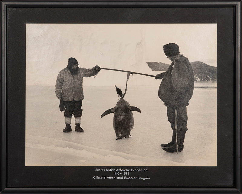 Clissold, Anton and Emperor Penguin.
