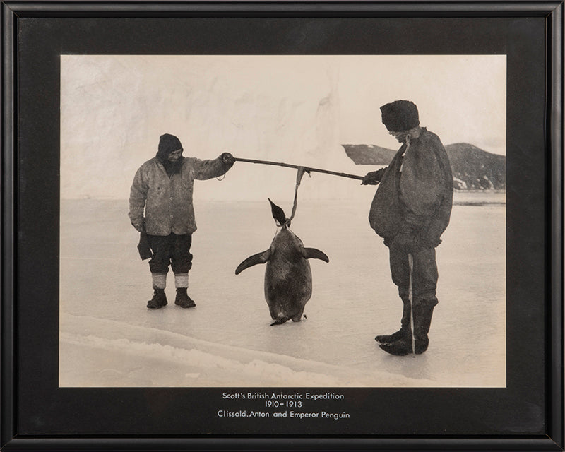 Classic photograph by Herbert Ponting from Captain Scott's Terra Nova expedition (1910-1913), whosing Clisshold, Anton and an emperor penguin.