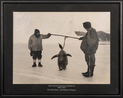 Classic photograph by Herbert Ponting from Captain Scott's Terra Nova expedition (1910-1913), whosing Clisshold, Anton and an emperor penguin.