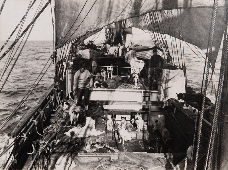 classic Ponting photograph from Captain Scott's Terra Nova expedition (1910-1913).