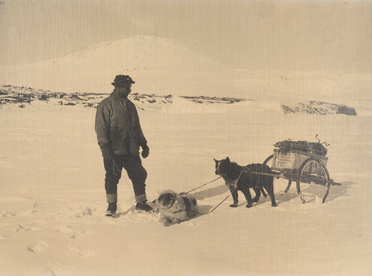 Classic Herbert Ponting photograph from Captain Scott's Terra Nova expedition (1910-1913), showing Ponting with his dog-pulled camera sledge