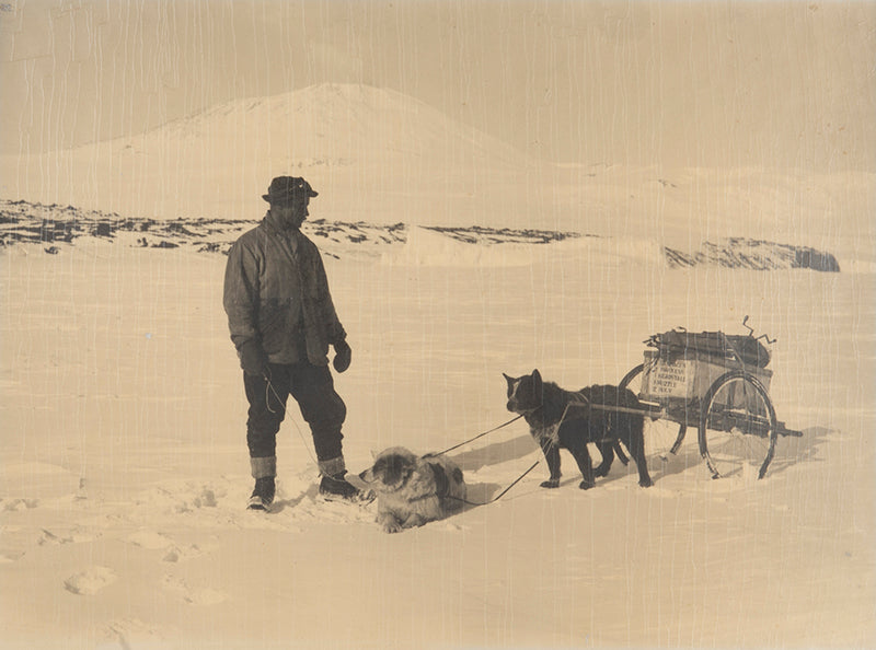 Classic Herbert Ponting photograph from Captain Scott's Terra Nova expedition (1910-1913), showing Ponting with his dog-pulled camera sledge