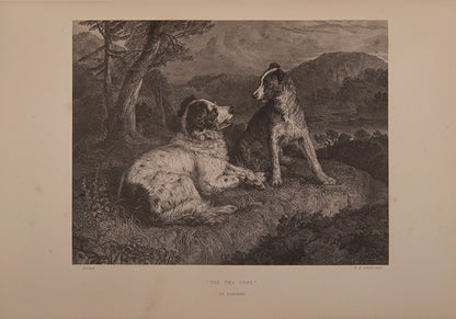 A handsome copy of this retrospective of the animal painter Edwin Landseer's popular works, with provenance for the earls of Portsmouth.
