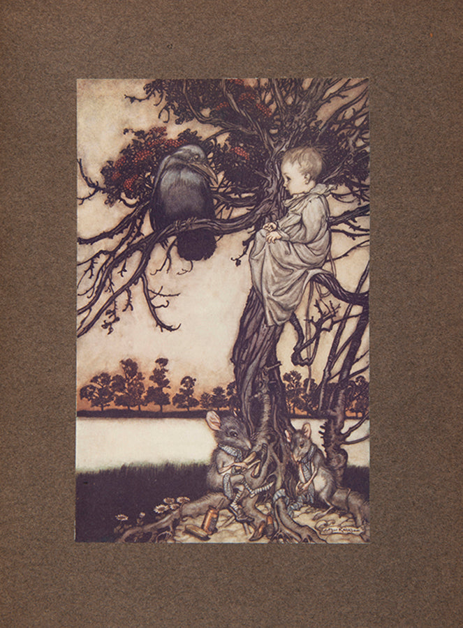 First trade edition of Peter Pan in Kensington Gardens, illustrated by Arthur Rackham
