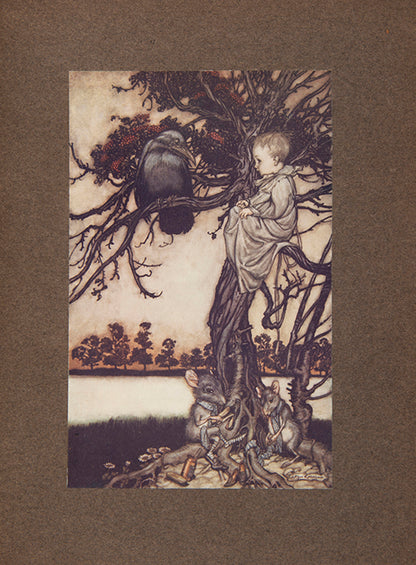 First trade edition of Peter Pan in Kensington Gardens, illustrated by Arthur Rackham