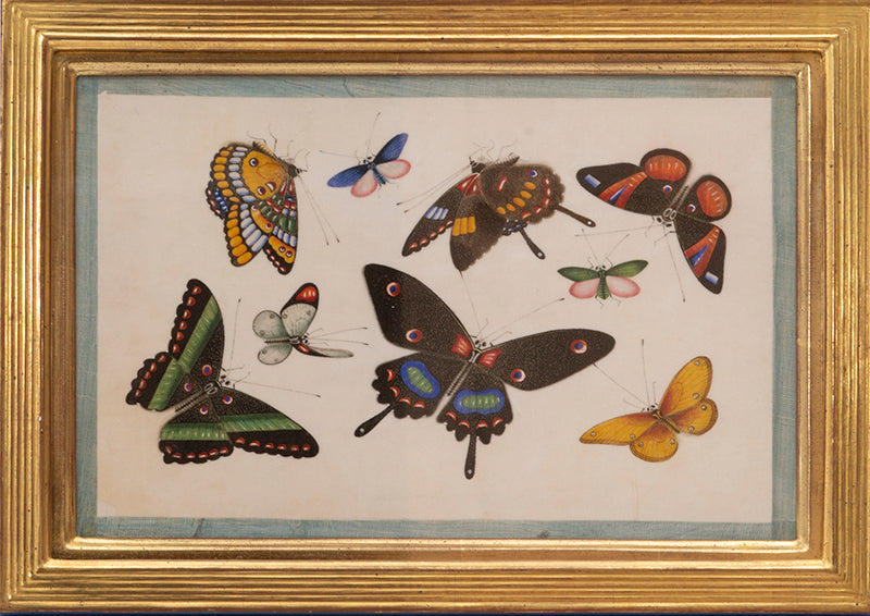 Watercolour and gouache studies on pith paper.