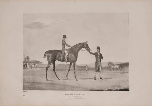 The complete series of lithographs for John Doyle's Life of the Race Horse, published between 1822 and 1823.