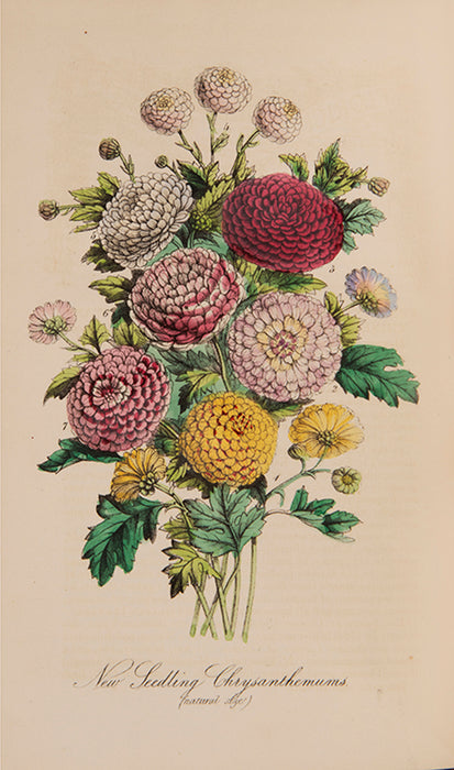 The Floricultural Cabinet and Florist's Magazine.