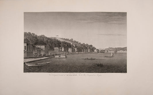 Vue de la partie Occidentale du Village de Buyuk - Dèrè Sur la Rive Européenne du Bosphore
