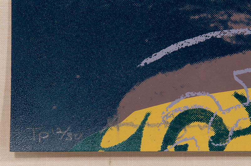 Andy Warhol, Queen Ntombi Twala, from Reigning Queens, 1985, unique trial proof, signed by the artist, on Lenox Museum Board