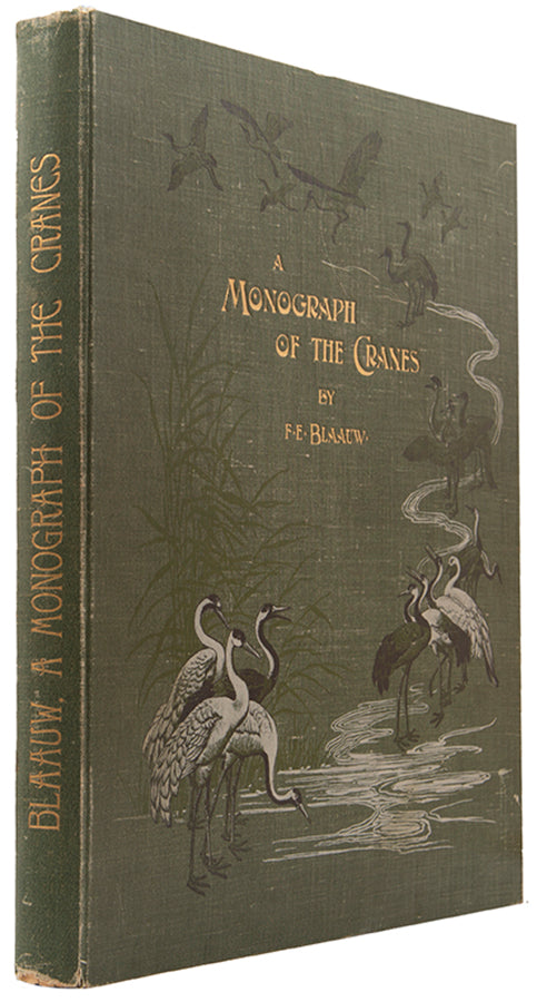 monograph on Cranes was originally the project of the director of the Amsterdam Zoo, G. F. Westerman. However, his untimely death led to Blaauw taking over