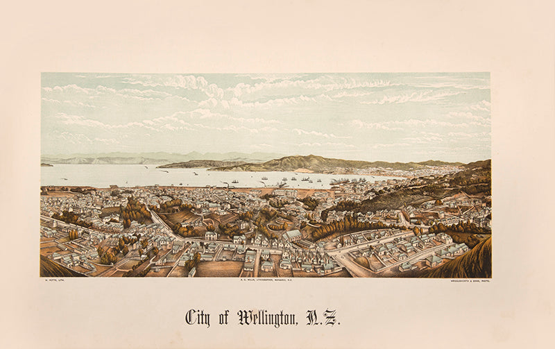 Wakefield's New Zealand Illustrated gives a fine visual record of New Zealand cities in the nineteenth century including Auckland, Wellington, Christchurch