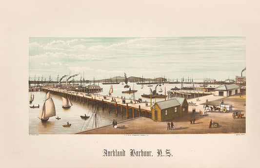 Wakefield's New Zealand Illustrated gives a fine visual record of New Zealand cities in the nineteenth century including Auckland, Wellington, Christchurch
