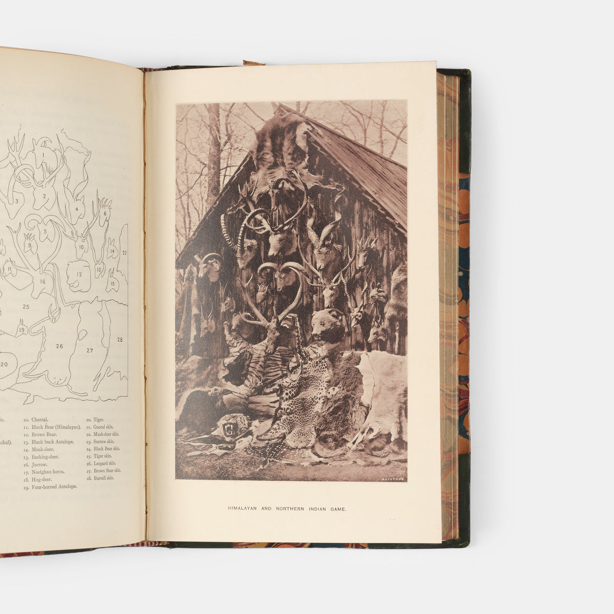 Donald MacIntre's Hindu-Koh is a big game classic. Macintyre travelled from Srinagar to Leh, and then to Chang Chenmo in 1871.