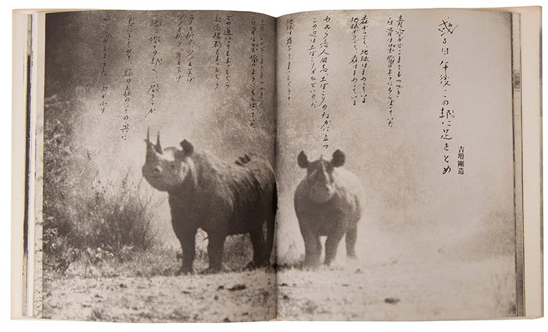 Peter Beard's Last Words from Paradise, edited by Marvin Israel and Shoji Yamagishi, was published to coincide with an exhibition in Tokyo.