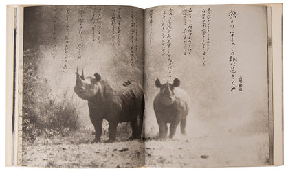 Peter Beard's Last Words from Paradise, edited by Marvin Israel and Shoji Yamagishi, was published to coincide with an exhibition in Tokyo.