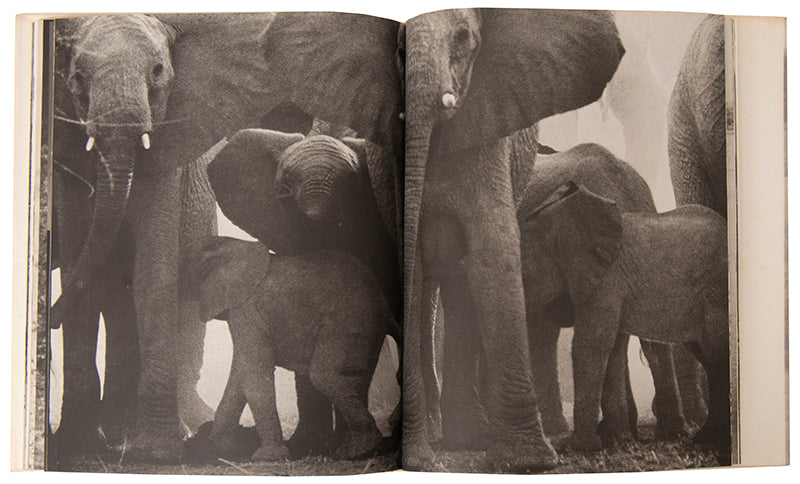 Peter Beard's Last Words from Paradise, edited by Marvin Israel and Shoji Yamagishi, was published to coincide with an exhibition in Tokyo.
