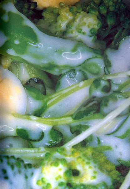 Araki made this book as a tribute to his late wife, Yoko. The first section contains a selection of colour food photographs made for magazines and on other commercial assignments, and the second is a black-and-white photo diary of the last meals he and Yoko ate together.