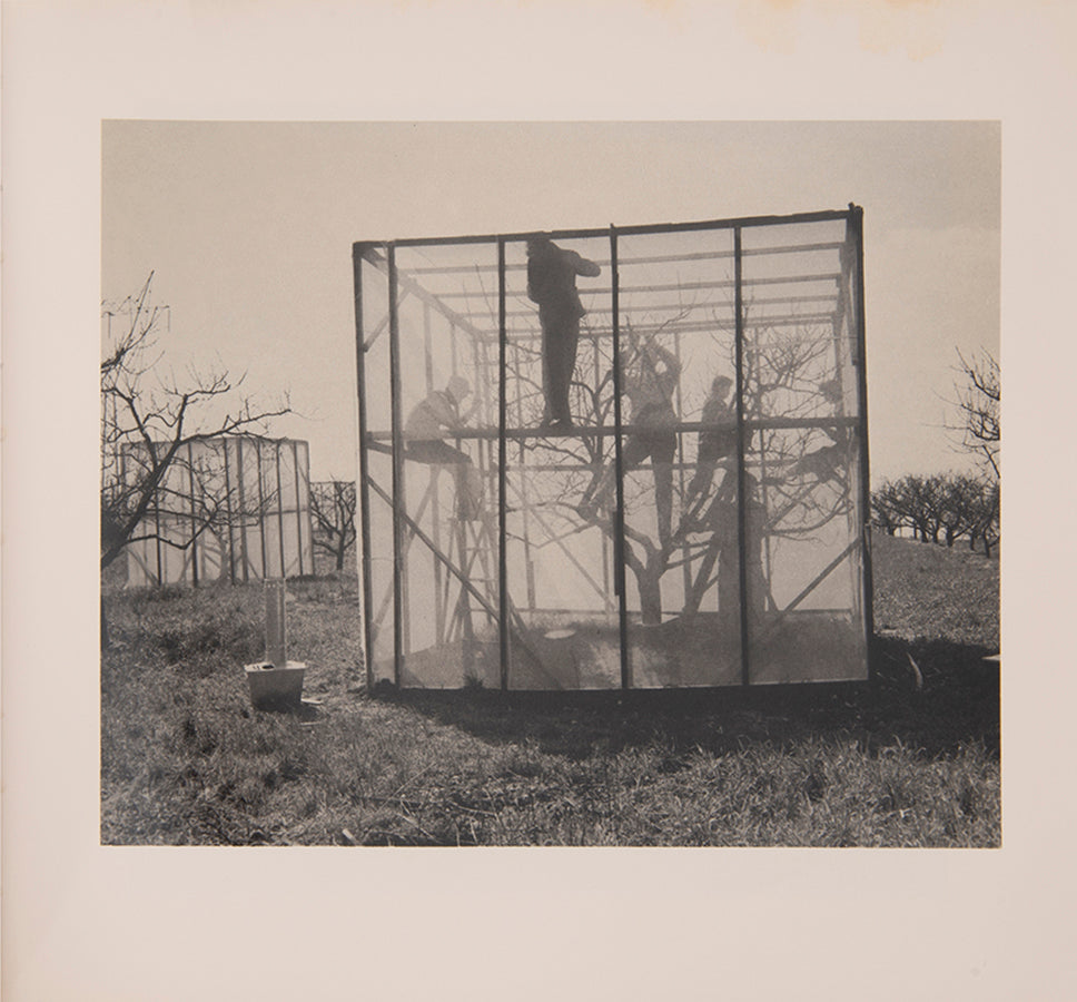 In 1975, Mike Mandel and Larry Sultan were awarded an NEA grant to explore photographic archives belonging to over 100 local corporations, government agencies and research institutions. Evidence presents a selection of their findings