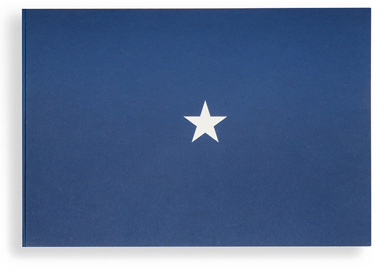 A New American Picture consists of Doug Rickard's photographs of a computer screen showing various economically ravaged locations in the United States covered by Google Street View.