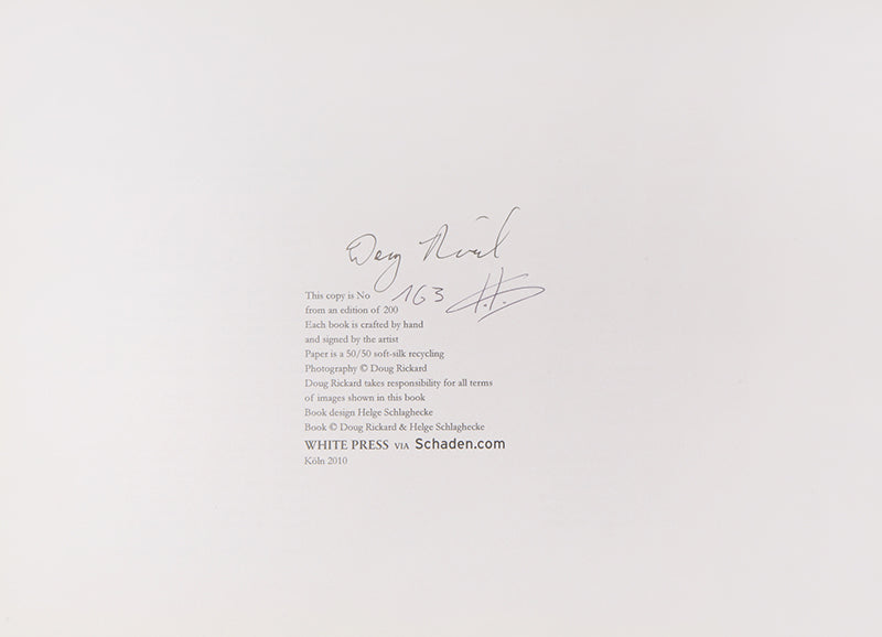 A New American Picture consists of Doug Rickard's photographs of a computer screen showing various economically ravaged locations in the United States covered by Google Street View.