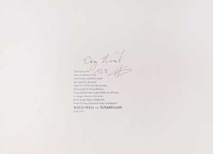 A New American Picture consists of Doug Rickard's photographs of a computer screen showing various economically ravaged locations in the United States covered by Google Street View.