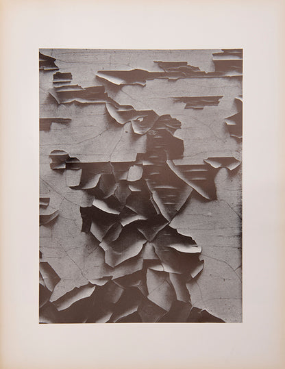 A presentation copy of Aaron Siskind's first monograph, inscribed to antique costumes and textiles dealer Cora Ginsburg.