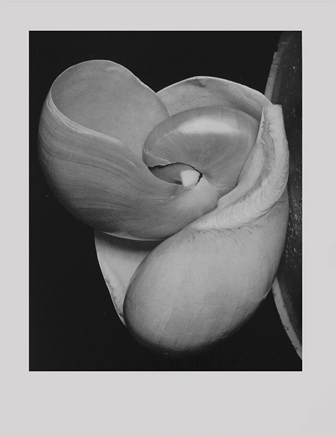 50 Photographs, signed/initialed by Edward Weston, features his selection of photographs giving a broad overview of his work