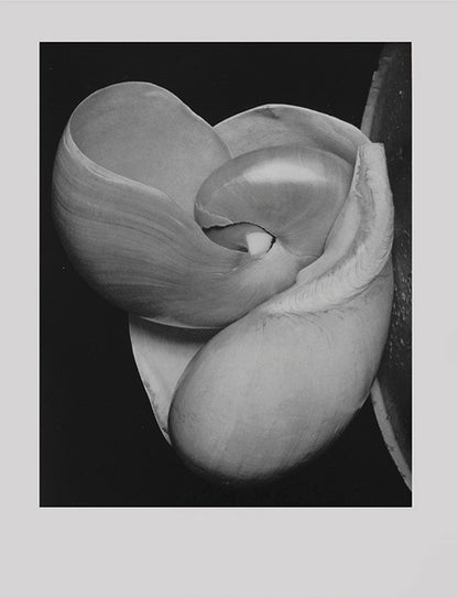 50 Photographs, signed/initialed by Edward Weston, features his selection of photographs giving a broad overview of his work