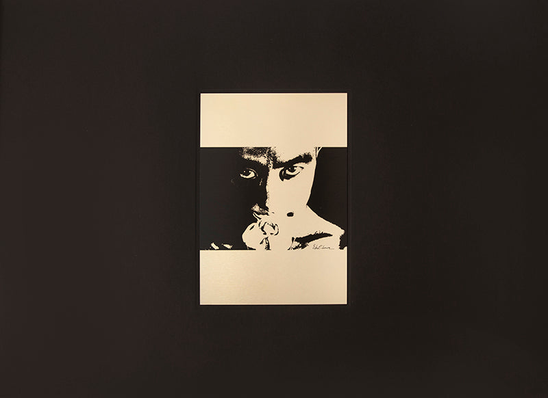 Tadanori Yokoo designed this revised and reimagined version of Eikoh Hosoe's Barakei. Mishima Yukio changed the title to reflect the original Japanese more accurately.