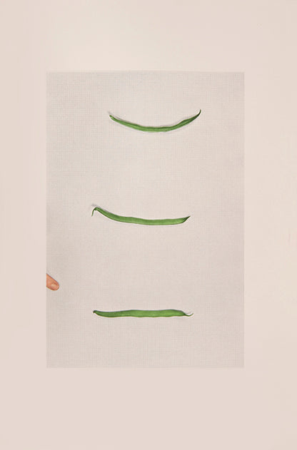 An exhibited copy of this highlight among 1970s conceptual artists' books. In the introduction, John Baldessari explains that Choosing Green Beans documents a game devised for two players.