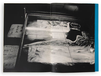 Nakahira Takuma's For a Language to Come is one of the key post-war Japanese photobooks, marking the culmination of his involvement in the Provoke movement.