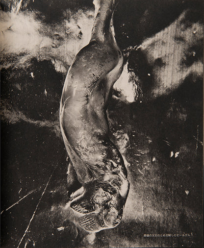 Tomatsu Shomei's 11:02 Nagasaki is one of the most significant memorials to the defining event in twentieth-century Japanese history